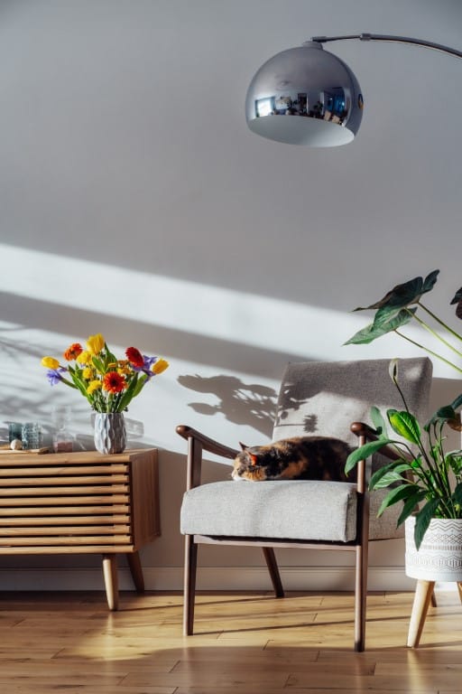 Home Lighting Design